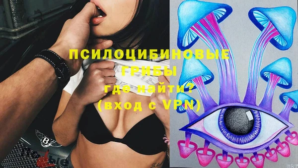 МДПВ Заволжск