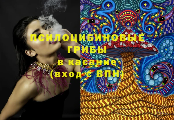МДПВ Заволжск