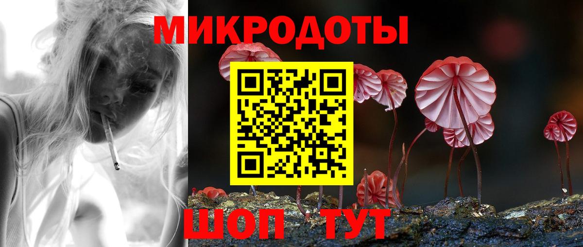 Галлюциногенные грибы Psilocybine cubensis Каменск-Шахтинский