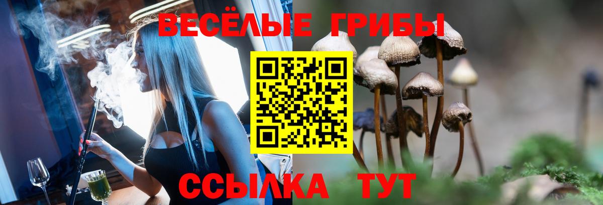 Каменск-Шахтинский  Галлюциногенные грибы Cubensis  Псилоцибиновые грибы Cubensis  Вход с VPN 